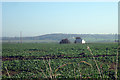 Crop Fields near Bellfield Farm