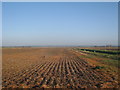 Ploughed Field off Newchurch Road