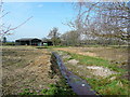 Straightened stream at North Ripley