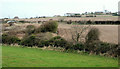 Fields near Orlock, Groomsport