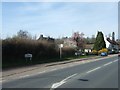 Bus stop and blossom