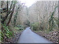 Steep track from Felin Uchaf to Llanddoged