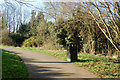 Daventry: path behind Norton Close