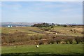 Bedlay Colliery Landscape Restoration Project