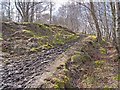 Footpath alongside the Oakeydean Burn