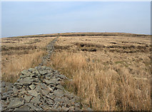 SS8692 : Moorland and stone wall remains on Mynydd Pwll-yr-Iwrch by eswales