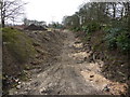 Dis-used railway cutting on the south west side of Keighley