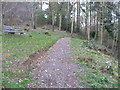 Mid Devon : Horse Coombe Copse, Bench and Path