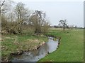 SK0036 : River Blithe upstream near Upper Leigh by John M