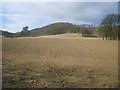 Farmland at Hutton