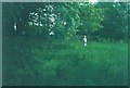 Building plot, St Nicholas Road, Littlestone in 1977