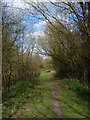 Footpath, Westend