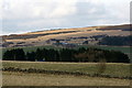 View to Hill of Alyth from West Tullyfergus