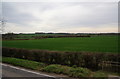 Fields east of Farmoor