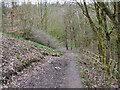 Path into Medlock Vale