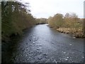 SD3483 : River Leven near Haverthwaite by Maigheach-gheal