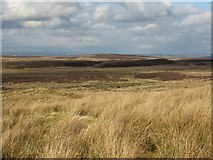 NY8655 : Moorland south of the Foumart Hills by Mike Quinn