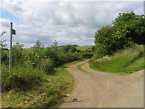 SK9819 : Public footpath and track towards Red Barn Quarry by Andrew Tatlow