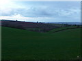 ST0016 : Mid Devon : Green Fields by Lewis Clarke