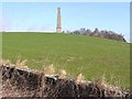 NZ1476 : The Obelisk at Kirkley Hall by Oliver Dixon