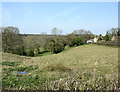 2010 : Small valley near Compton Common