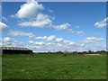 Barn Meadow