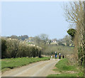 ST7772 : 2010 : Walking the dogs on Ayford Lane by Maurice Pullin