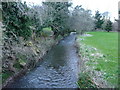 Mid Devon : River Lowman