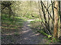 Descent down Duncton Hill through Fryan