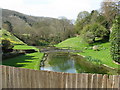 Fresh spring stream alongside Beechwood Lane