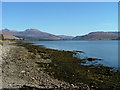 Shoreline on Loch Carron