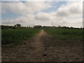 Field edge path to Heaton Road