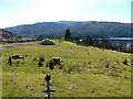 Shieldaig campsite