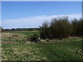 Footbridge in the fields