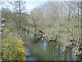 River Tanat upstream from Llanyblodwell bridge