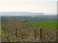 Fields near Nevern