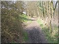 Footpath alongside Crag Wood - off Harden Lane