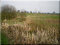 Water in the moat at Old Park Farm