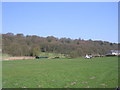 Football Pitch - Harden Road