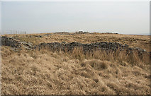 SS8692 : Dry stone walls, Mynydd Pwll-yr-Iwrch (Mynydd Bach) by eswales