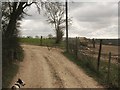 Byway and track junction near Larkey Valley Wood