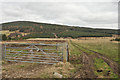 Path toward the forest near Cromdale