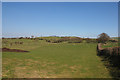 Fields above Cnwch Coch