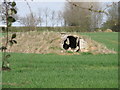 Air raid shelter