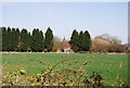 Glassenbury Hill Oast