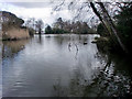 Lake, Oakmere Park, Potters Bar, Hertfordshire