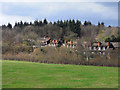 Pasture, houses and woodland, Chapel Row, Bucklebury