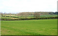 Fields near Denham Castle