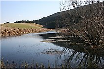 NJ4419 : Pond near Auchmullen by Anne Burgess