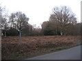 SU5369 : Bracken on Bucklebury Common by ad acta